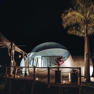 Land Bubble Glamping By Mint Tente de luxe